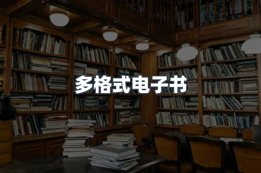 多格式电子书